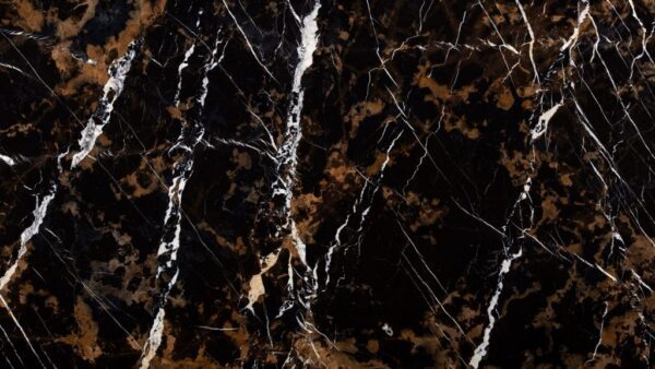 Black and Gold