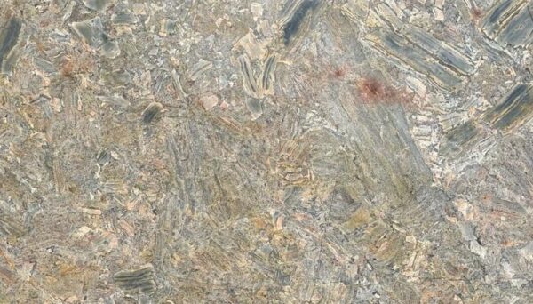 Fish Gold - Image 2