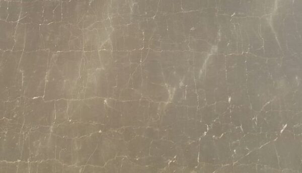 Olive Marron